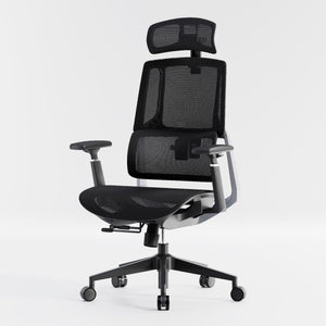 HOLLUDLE Aegis Ergonomic Office Chair with Breathable Mesh Seat