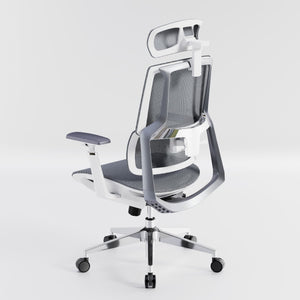 HOLLUDLE Aegis Ergonomic Office Chair with Breathable Mesh Seat