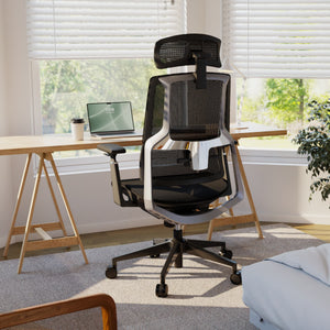 HOLLUDLE Aegis Ergonomic Office Chair with Breathable Mesh Seat
