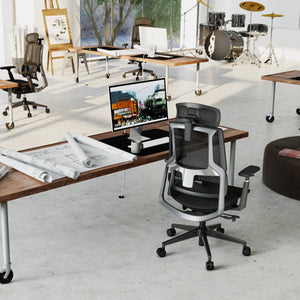 HOLLUDLE Aegis Ergonomic Office Chair with Breathable Mesh Seat