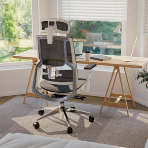 HOLLUDLE Aegis Ergonomic Office Chair with Breathable Mesh Seat