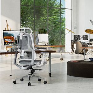 HOLLUDLE Aegis Ergonomic Office Chair with Breathable Mesh Seat