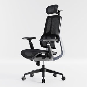 HOLLUDLE Aegis Ergonomic Office Chair with Breathable Mesh Seat