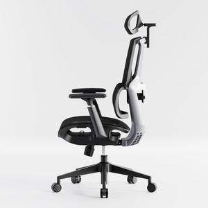 HOLLUDLE Aegis Ergonomic Office Chair with Breathable Mesh Seat