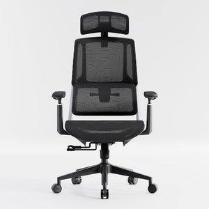 HOLLUDLE Aegis Ergonomic Office Chair with Breathable Mesh Seat
