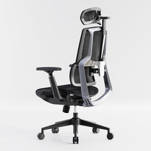 HOLLUDLE Aegis Ergonomic Office Chair with Breathable Mesh Seat