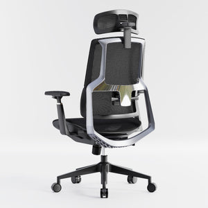 HOLLUDLE Aegis Ergonomic Office Chair with Breathable Mesh Seat