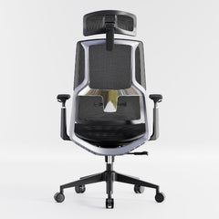 HOLLUDLE Aegis Ergonomic Office Chair with Breathable Mesh Seat