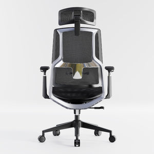 HOLLUDLE Aegis Ergonomic Office Chair with Breathable Mesh Seat