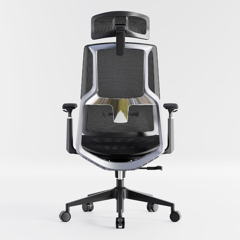 HOLLUDLE Aegis Ergonomic Office Chair with Breathable Mesh Seat