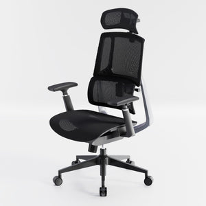 HOLLUDLE Aegis Ergonomic Office Chair with Breathable Mesh Seat