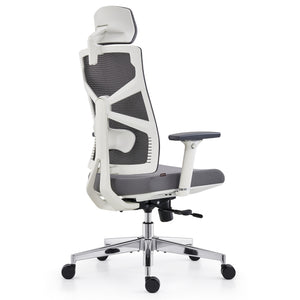 HOLLUDLE Ergonomic Office Chair Shaper Chair for All-Day Comfort
