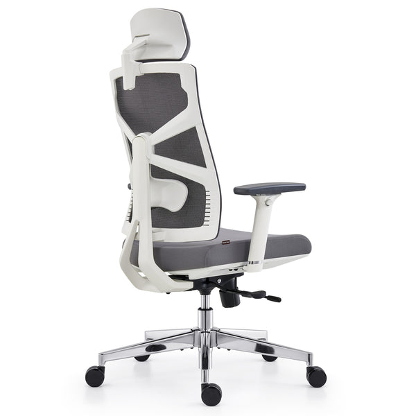 HOLLUDLE Ergonomic Office Chair Shaper Chair for All-Day Comfort