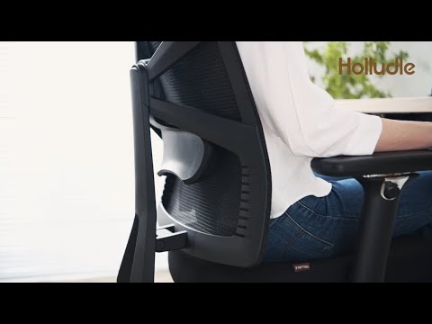 HOLLUDLE Ergonomic Office Chair Shaper Chair